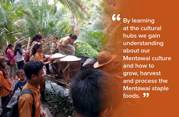 By learning at the cultural hubs we gain understanding about our Mentawai culture and how to grow, harvest and process the Mentawai staple foods.