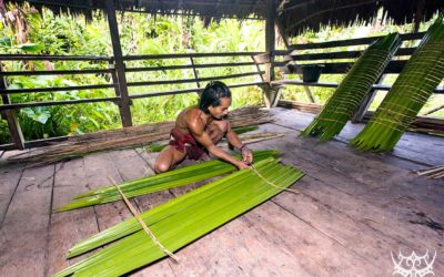 Developing Suku Mentawai curriculum