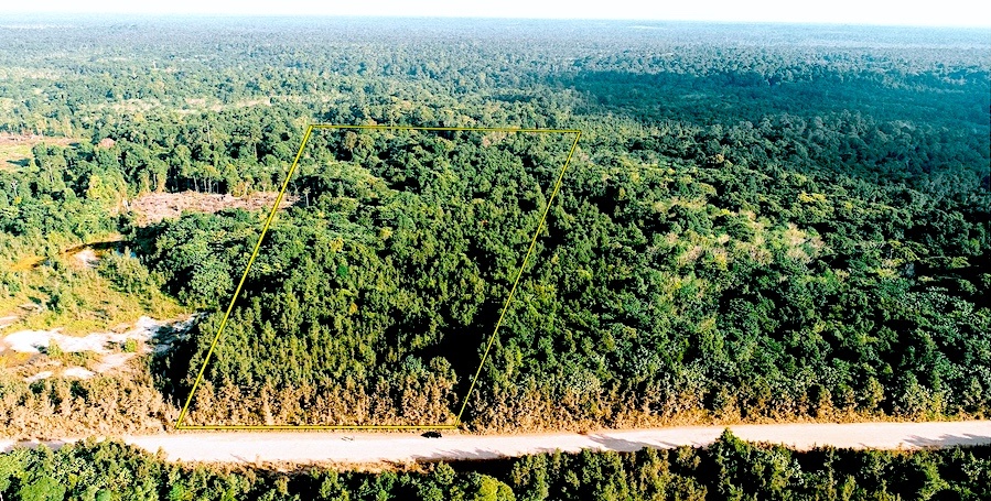 Six hectares of Talekoi forest to be saved from Mining company