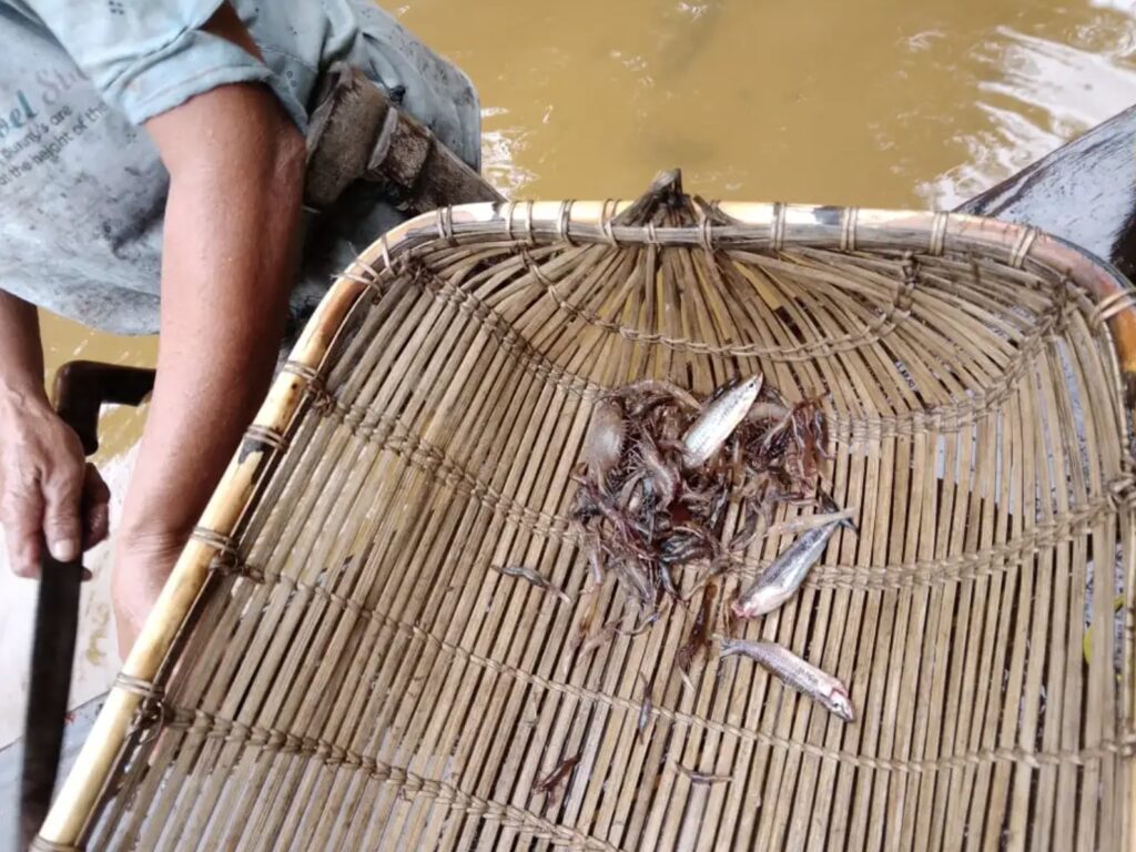 Dayak people used to obtain all of their fish from local rivers. Photo: Sarasi Sinurat