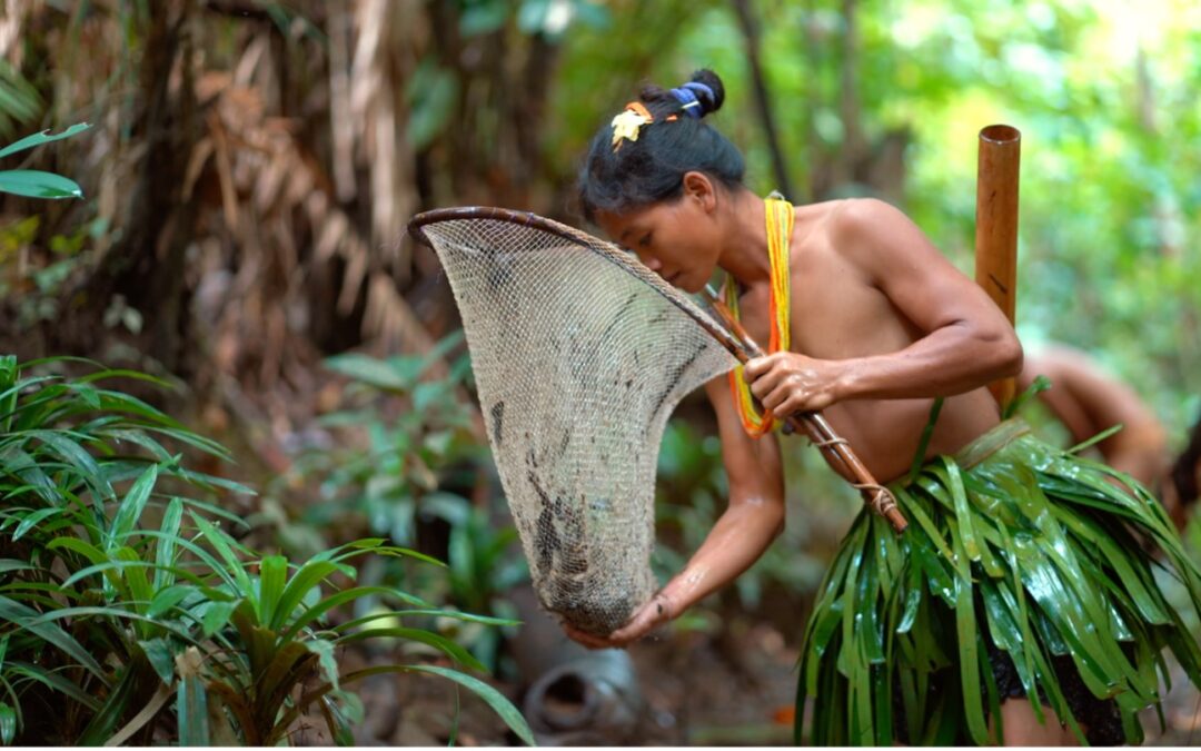 Stream Mentawai: Soul of the Forest — and help keep Indigenous knowledge alive
