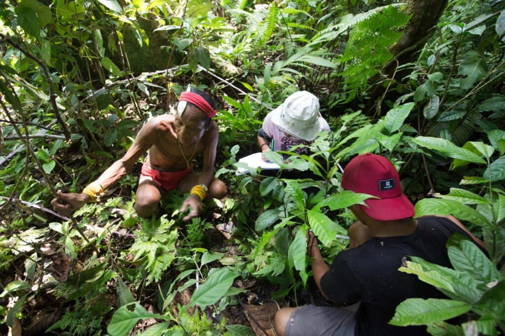 Researchers Santi and Bastian deep in the jungles of Siberut, documenting Mentawai’s traditional ecological knowledge with Sikerei Aman Masit Dere.