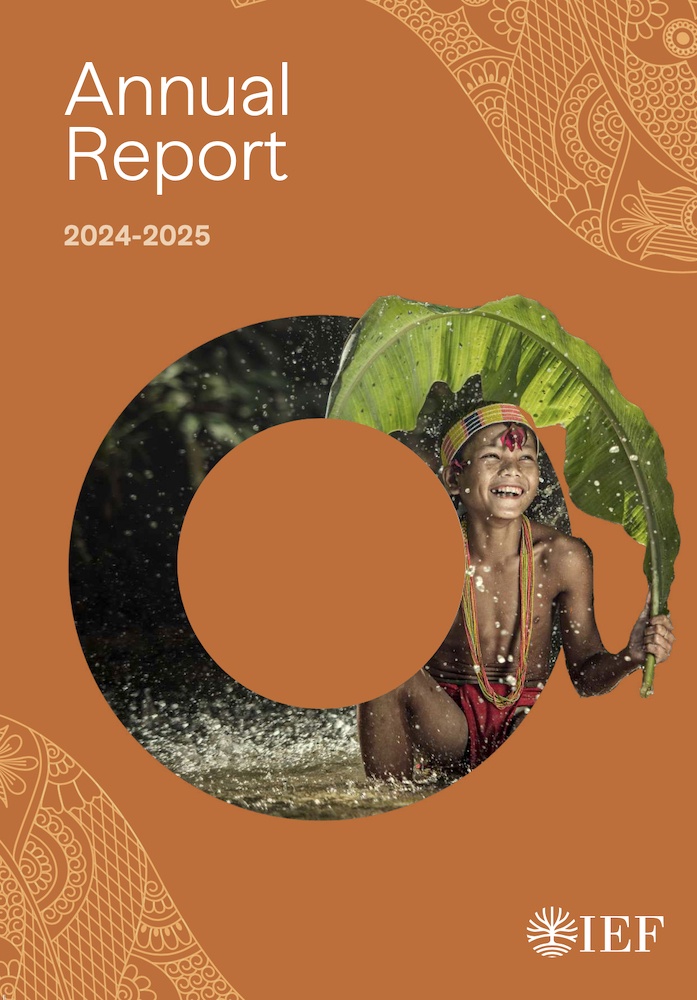 IEF Annual Report - 2025