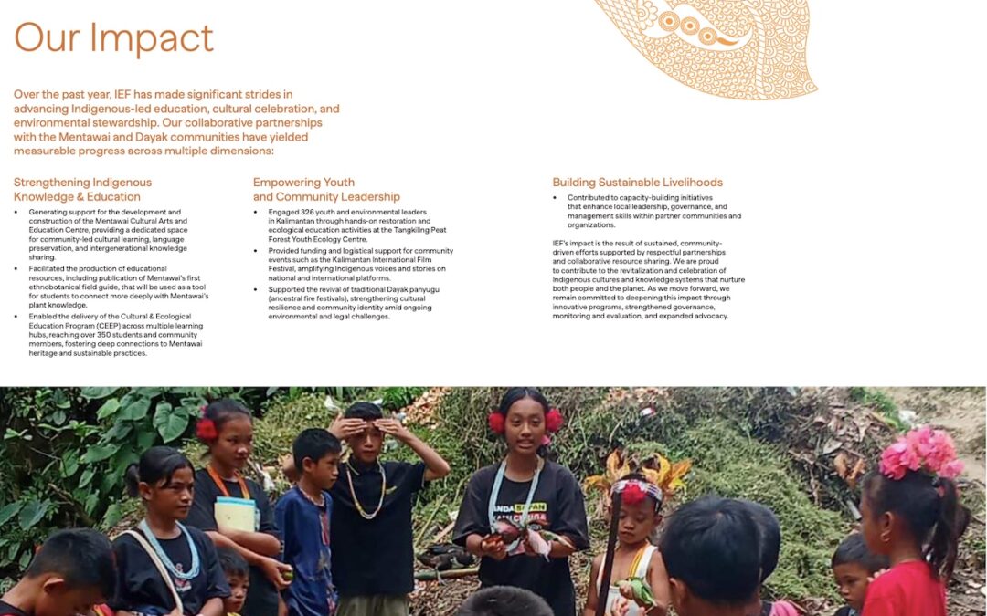IEF Presents our Latest Annual Report