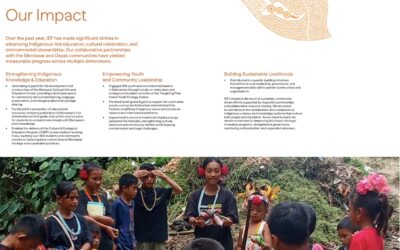 IEF Presents our Latest Annual Report