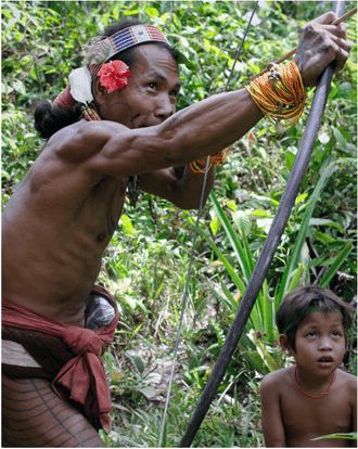 Cultural and Ecological Education Program, Mentawai