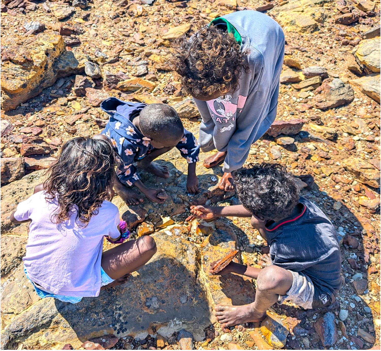 Solid Rootz - East Arnhem Land