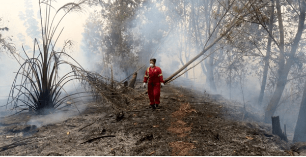 Ranu Welum Youth Act Fire Management and Land Restoration